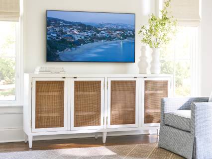 Bluebird Media Console